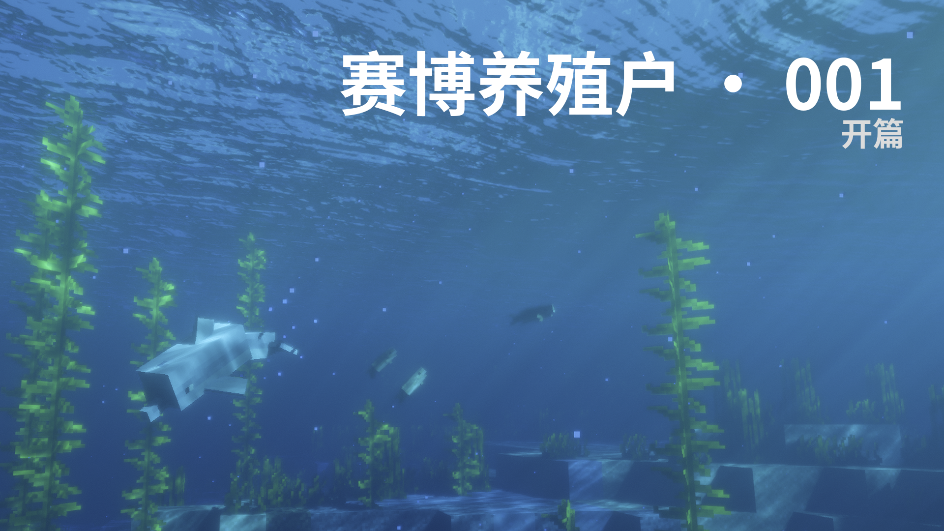 赛博养殖户 · 001 - 开篇