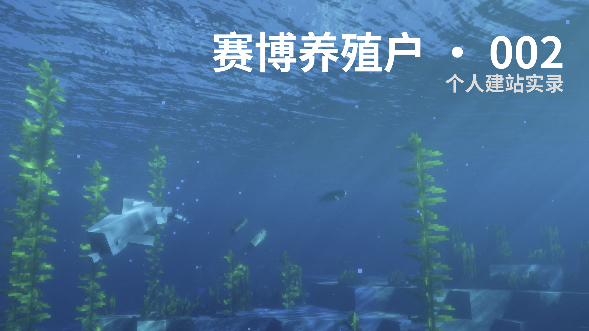赛博养殖户 · 002 - 个人建站实录